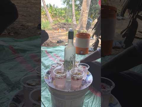 Summer special drink 😄 vodka with 🍇 salad 👌👌#vodka #viral #food #foodie