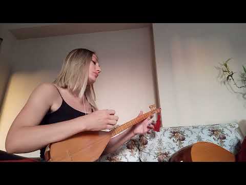 Karanfilim Sarkarım