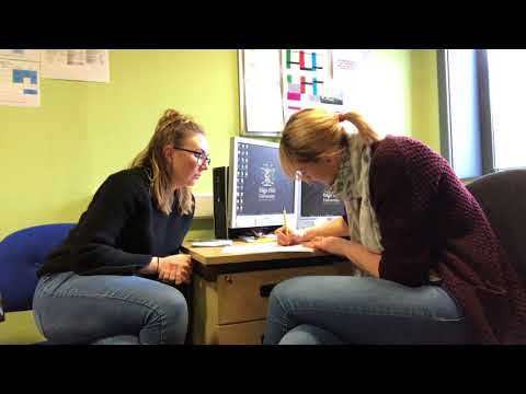 SPT3434 Applied Sport Psychology - Consultation example for critique