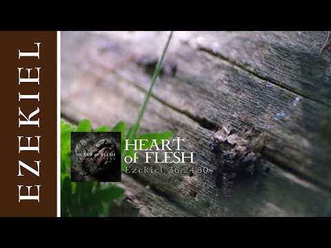 Cover image for YouTube video Heart of Flesh