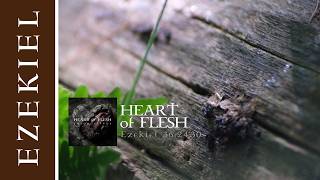 YouTube video cover for 