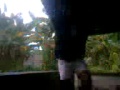 Shela On Gokil