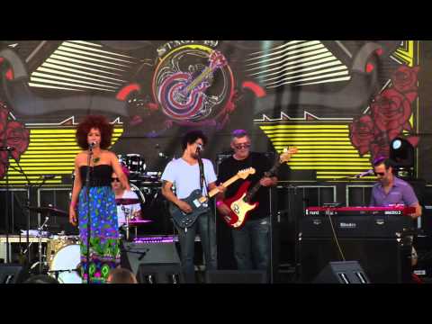 Orgone - 2014 Stage 49 Performance