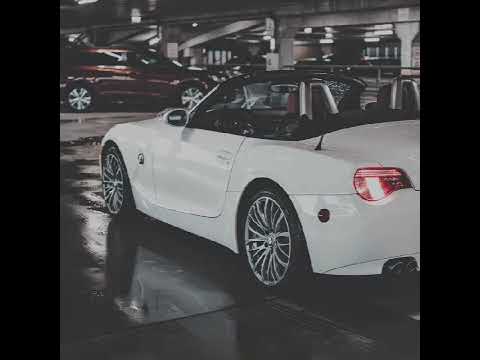 BMW Z4 rental #2