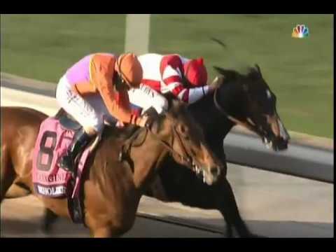 Songbird - 2016 Breeders' Cup Distaff - Second Place Finish