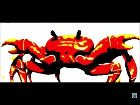 crab song intensifies