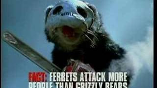 Хорёк с бензопилой