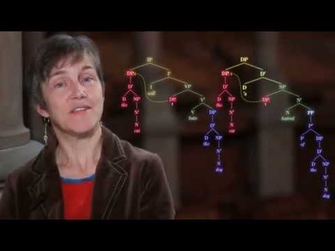 Generative Syntax 5.2 - The DP Hypothesis