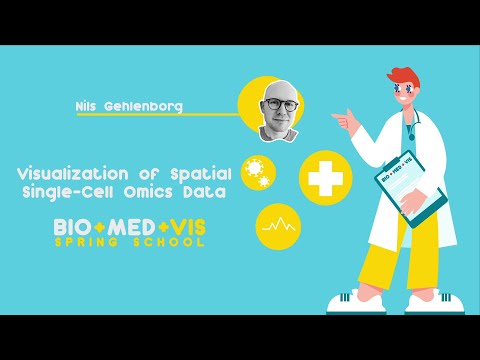 BioMedVis Spring School | Visualization of Spatial Single-Cell Omics Data