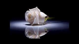 SOLO UN DIA -Espinoza Paz