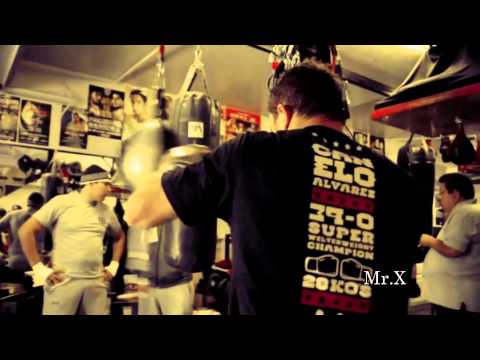 Canelo Alvarez Highlights ( Young Phenom )