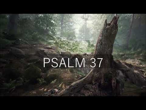 PSALM 37 / Lebenslehre eines Weisen