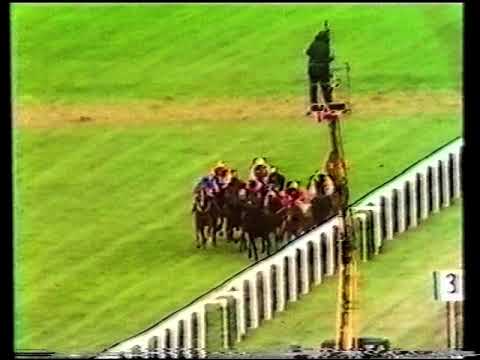 1981 Princess Margaret Stakes