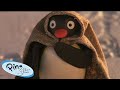 Pingu S Snowman Adventure Pingu Official Channel Cartoons For Kids