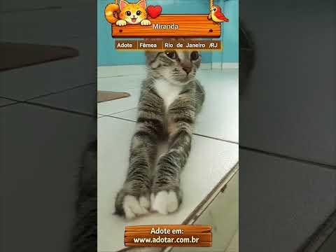 Vídeo de Miranda