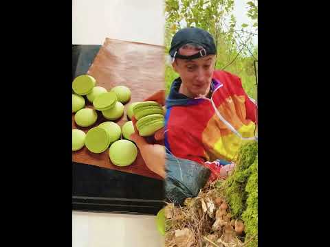 Набрал мешок грибов! Сколько раз сказал «ВАУУУ» #pov #foryou #storytime #fyp