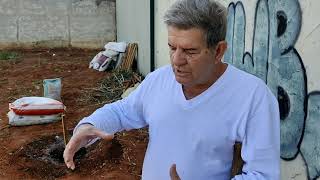 Nunca mais plante mudas de forma errada - Vídeo 2