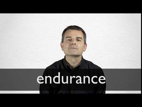 Translation of “endurance” | Dictionary