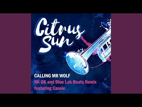 Calling Mr Wolf (NK-OK and Blue Lab Beats Remix)