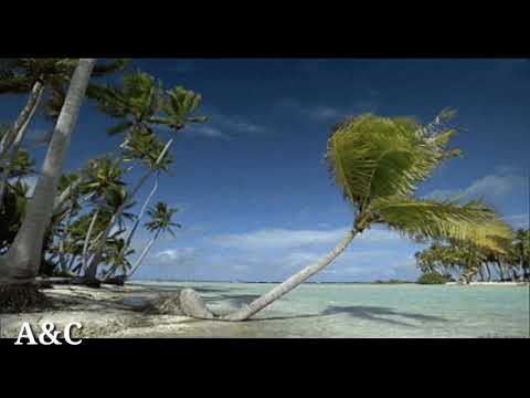 Sunbird - They Accept Paradise (R.I.B & Seven24 Chillout Mix)