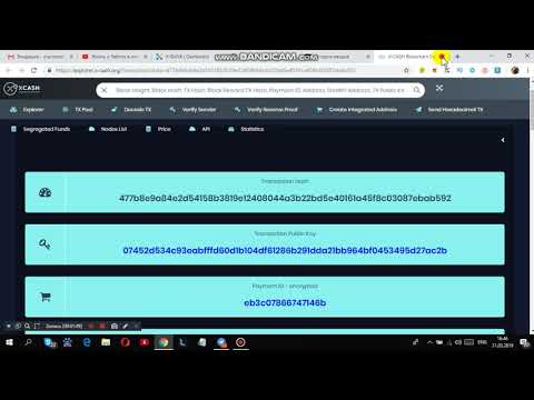 ЗАШЛО МОНЕТ XCASH! НА 9.66$ ! ВЫВЕЛ НА БИРЖУ! ПОЛУЧАЕМ КАЖДЫЙ МЕСЯЦ!