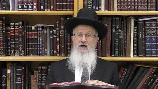 הגאון הרב אברהם יוסף שליט"א איך צריך להחזיק את הבשמים בהבדלה (הרב אברהם יוסף) - התמונה מוצגת ישירות מתוך אתר האינטרנט יוטיוב. זכויות היוצרים בתמונה שייכות ליוצרה. קישור קרדיט למקור התוכן נמצא בתוך דף הסרטון