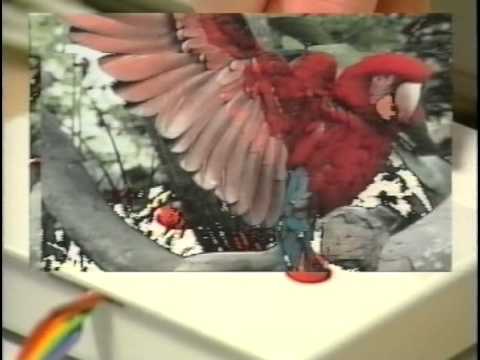 Amiga Format - Desktop Video Vol 1