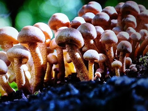 Sateista torstaita + aamukahvit