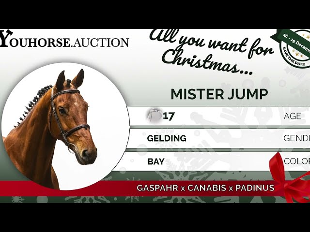 Mister Jump