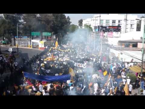 "Rebel X6  Caravana Rebel 16 años" Barra: La Rebel • Club: Pumas