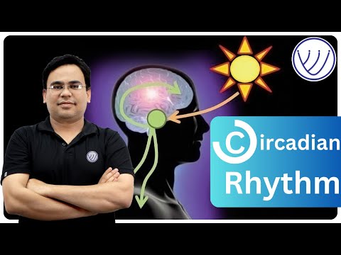Circadian Rhythm | Biological Clock | CSIR NET LIFE SCIENCE | GATE XL | GATE EY
