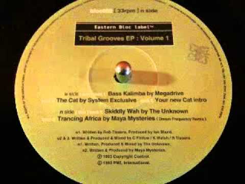 THE UNKNOWN - SKIDDLY WAH