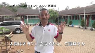 シギトさんの☆インドネシア語講座