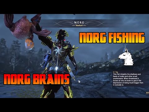 Let's Play Warframe (245) Norg Fishing - Norg Brains