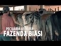 Nutrição Animal Para Bovinos De Leite Faz Biasi
