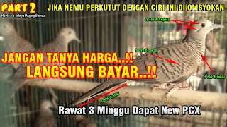 Download lagu 2026 Auto Kaya Raya Permanen | TIPS JITU MEMILIH PERKUTUT LOKAL KATURANGGAN DI OMBYOKAN | PART 2 mp3