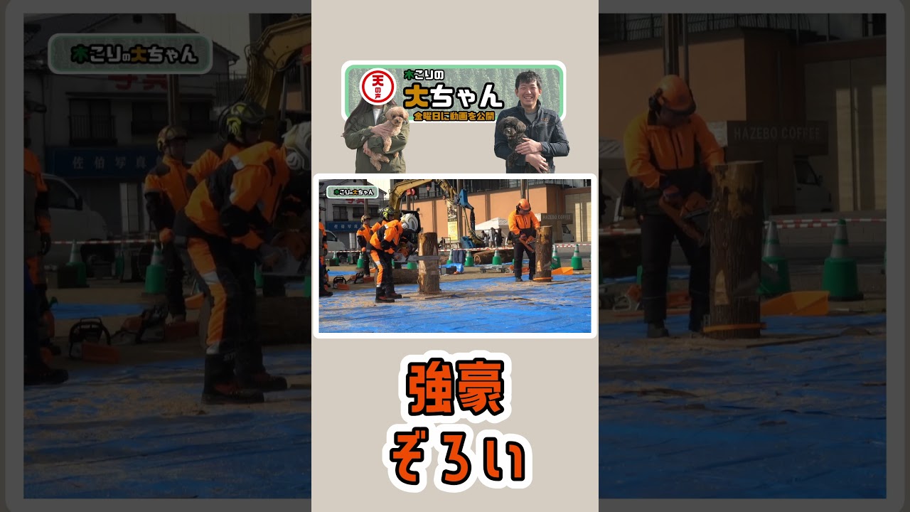 【木こり】強豪ぞろい【林業のリアル】