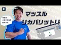 【マッスルリカバリット】第1肉 上腕二頭筋とデータをリカバー!|Wondershare Recoverit
