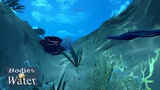 Coral Rock - Bodies of Water VR®