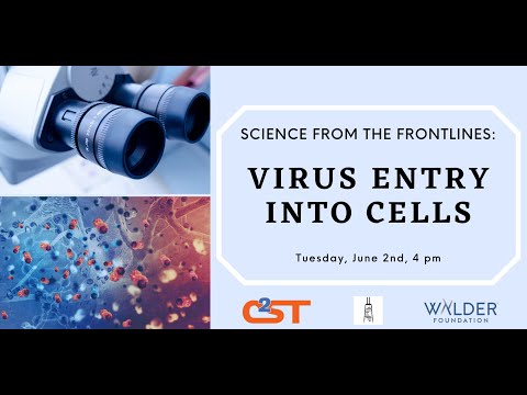 Science From The Frontlines: Virus Entry into Cells