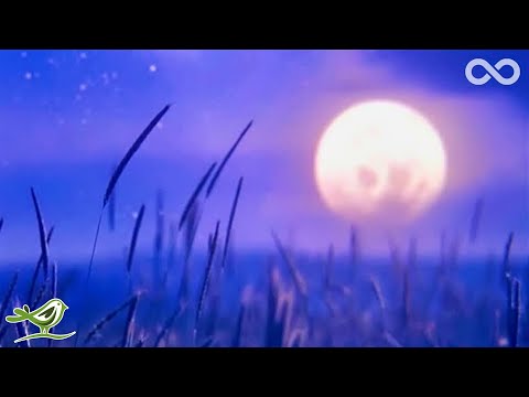 The Eagle: Deep & Relaxing Flute Music for Meditation, Yoga & Spa