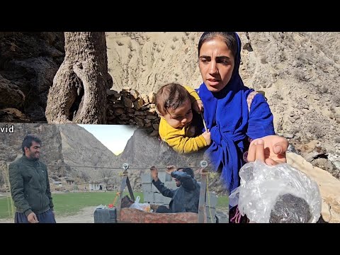 Working Together with Neighbors in the Mountains | Nomadic Life of Davood & Akram