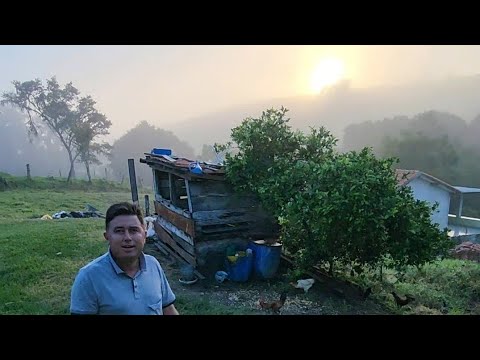 O AMANHECER NO SÍTIO 👏👏 RIBEIRÃO BONITO SANTO ANTÔNIO DA PLATINA PR 🇧🇷 #sitio #fazenda