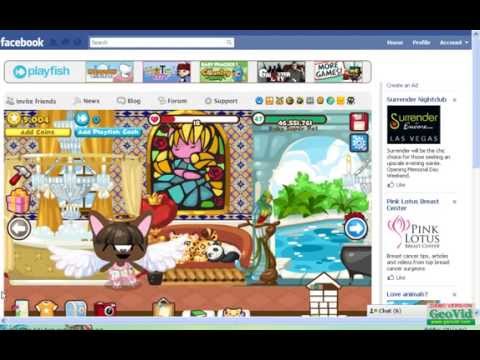 W.O.W.  Pet Society Group Presents : MULTI COLOR HAIR DYE