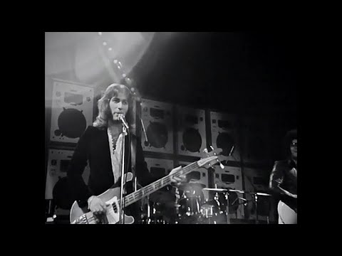 I Cugini di Campagna - Conchiglia bianca (Discoring 1977 - stereo)