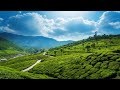 Kodamanjin Thazvarayil Status Munnar Munnar Status