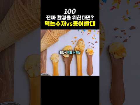 피자 맛 나는 식용 수저 vs 스타벅스 종이빨대🥄