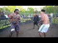 STREETBEEFS MAMMOTH Vs STEE