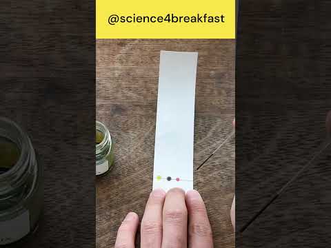 Paper Chromatography  #gcsescience #scienceteacher #chemistry #experiment #education
