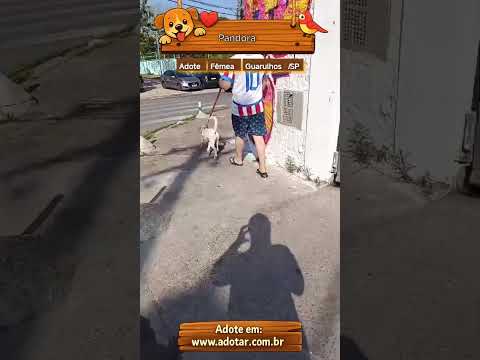 Vídeo de Pandora